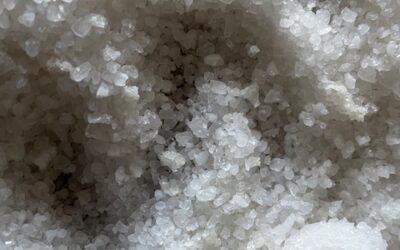 « Vous êtes la lumière du monde » Edition du 8 février 2026