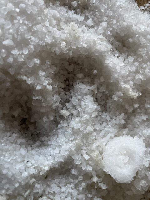 « Vous êtes la lumière du monde » Edition du 8 février 2026