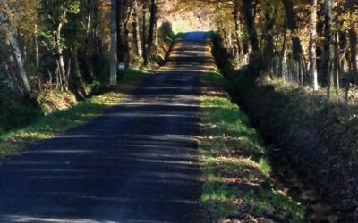 « Je suis le Chemin, la Vérité et la Vie » Edition du 3 mai