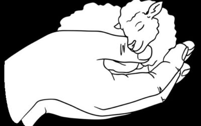 « Je suis la porte des brebis » Edition du 26 Avril